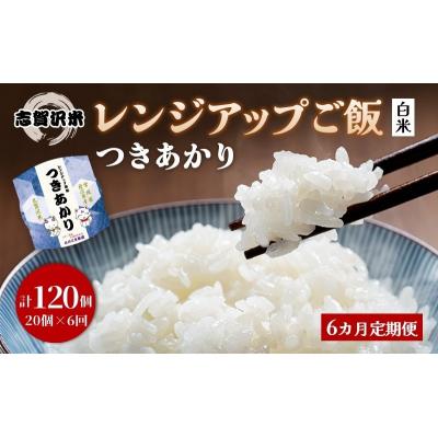 ふるさと納税 岩沼市 【令和7年産】6ヵ月定期便 つきあかり レンジアップごはん 20個[No.5704-0946]
