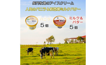 長門牧場アイスクリーム10個プレミアムセットCA-1　白い食べ比べセット（プレミアムフレーバー「ミルク＆バター」、バニラ各5個）　人気スイーツ　濃厚ミルク　直送　牛乳　生乳　国産　夏ギフト　長野県　贈