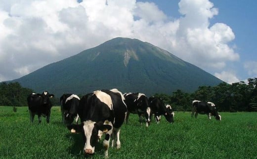 【大山乳業】白バラ生ロールケーキギフト （2種セット） 大山乳業 大山スイーツ 大山ケーキ 白バラ生ロールケーキ 白バラコーヒー生ロールケーキ 白バラスイーツ ロールケーキ ケーキ 白バラ牛乳 倉吉 