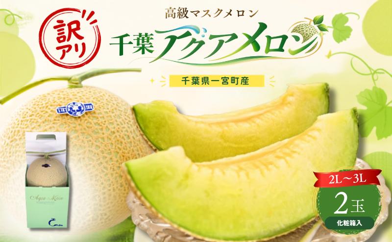 
【訳あり】高級マスクメロン（千葉アクアメロン）２玉【2024年春発送予定】
