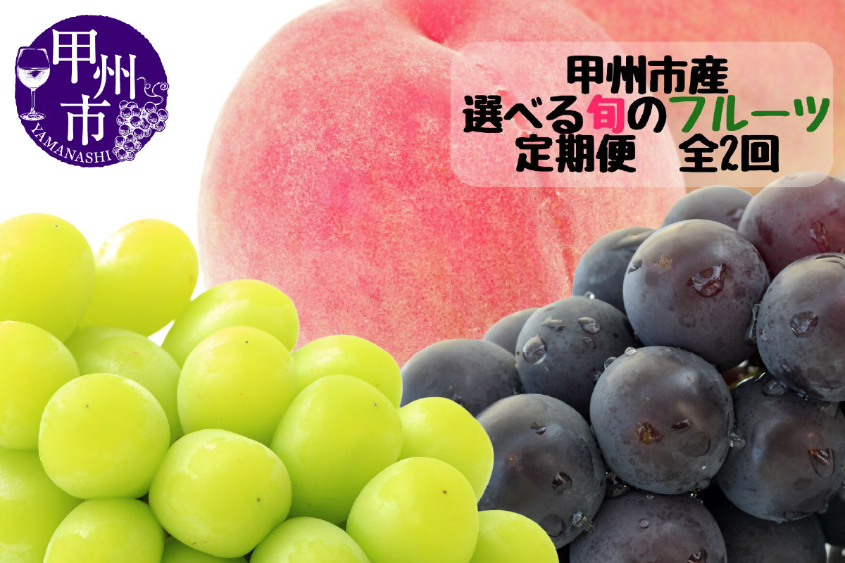 
            【選べる定期便】甲州市産厳選旬のフルーツ定期便全2回（桃・シャインマスカット/巨峰・シャインマスカット）【2025年発送】（MG） 【桃 もも ぶどう 葡萄 シャインマスカット 令和7年発送 期間限定 山梨県産 甲州市 フルーツ 果物】
          
