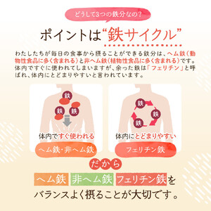 鉄分 サプリ ルミエル 鉄 10mg フェリチン鉄 ヘム鉄 葉酸 栄養機能食品 6袋（6ヶ月分）