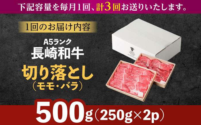 【3回定期便】【訳あり】切り落とし 赤身 モモ バラ 600g / 長崎和牛 A4～A5ランク ワケあり 小間切れ / 諫早市 / 野中精肉店 [AHCW012]