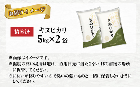 【令和5年産】キヌヒカリ10kg（5kg × 2袋） おいしい多賀のお米