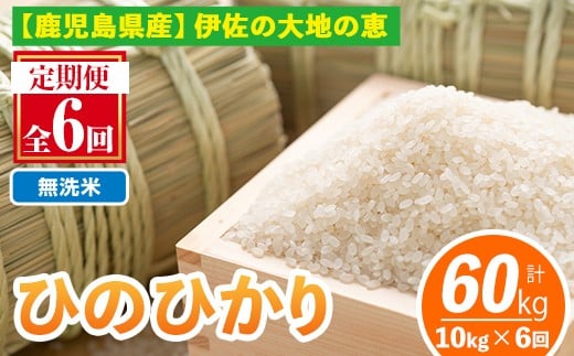 isa520-B 【定期便6回】 ＜無洗米＞選べる精米方法！令和7年産 鹿児島県伊佐南浦産ひのひかり (合計60kg・計10kg×6ヵ月) 国産 白米 精米 無洗米 伊佐米 お米 米 生産者 定期便 ひのひかり 【Farm-K】