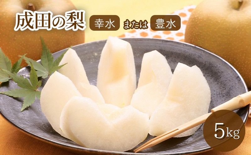 梨 5kg 幸水または豊水【日時指定不可】フルーツ 果物 ナシ なし 和梨 季節のフルーツ 季節の果物 旬のフルーツ 旬の果物 千葉 千葉県 成田市