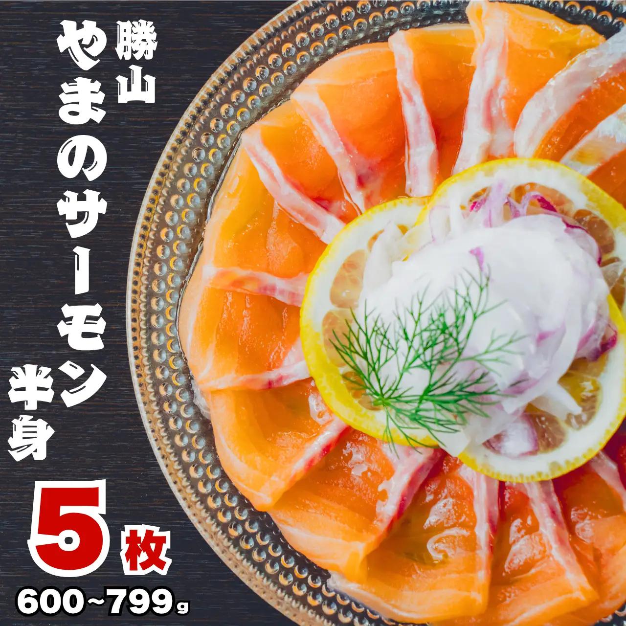 サーモン 半身 600～799g 冷凍 5枚 [G-050003]