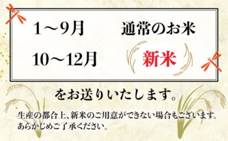 【 全3回 定期便 】米 旋風 贅沢 ブレンド 米 5kg 《糸島》【百笑屋】 [ABF026]  米 お米 白米 精米 定期便 ミルキークイーン ヒノヒカリ