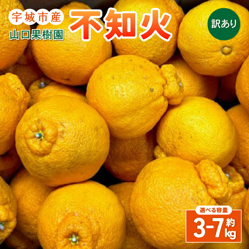 【ふるさと納税】【先行予約】山口果樹園 訳あり 不知火 約3kg〜約7kg L〜3L混合サイズ ※梱包材、箱別の重量 しらぬい みかん ミカン 蜜柑 くだもの フルーツ 果物 宇城市産 熊本県産 九州産 国産 送料無料 【2026年2月上旬から4月上旬発送予定】