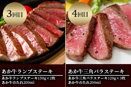 【定期便6回】あか牛 ステーキ 食べ比べ！ 6部位 熊本県産 和牛 タレ付 【 牛肉 肉 定期 和牛 国産 ステーキ ご褒美 6カ月 】 046-0634