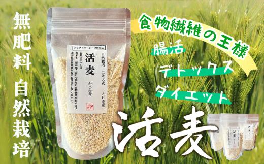 自然栽培 二条大麦 「活麦」 大月産 200g×3パック