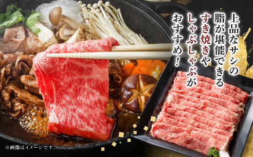 【毎月定期便】【飛騨牛】ローススライス(すき焼き/しゃぶしゃぶ)500g 岐阜県産 黒毛和牛全3回【配送不可地域：離島】