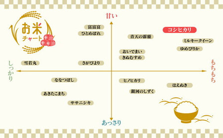 【12ヶ月定期便】【令和6年度米】「魚津のコシヒカリ（晃米）」10kg（玄米） ｜ 環境配慮 MK農産 お米 ブランド米 銘柄米 玄米 ご飯 おにぎり 産地直送 甘み 旨味 香り ※2024年9月中旬