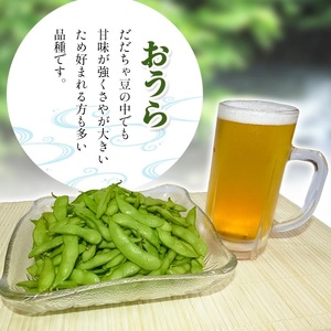 【令和8年産先行予約】【鶴岡の夏の旬を伝える】 小池農園のだだちゃ豆 【おうら】 1.8kg（600g×3袋）K-832