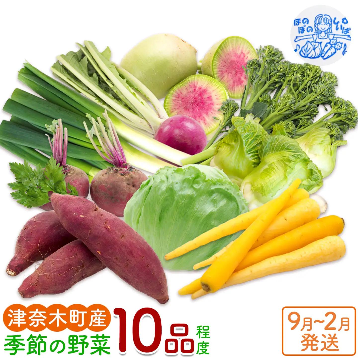 野菜 季節の野菜 10品 詰め合わせ セット ほのぼのしいば農園《9月上旬-2月下旬頃出荷》