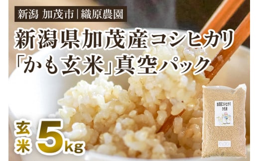 【令和7年産新米】新潟産コシヒカリ「かも米」玄米5kg （5kg×1袋）真空パック 【無農薬・無化学肥料】 従来品種コシヒカリ 加茂市 織原農園