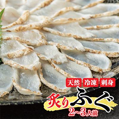 ふるさと納税 松原市 玄品 天然まふぐ炙りふぐ刺し110g×1皿 2〜3人前 ポン酢・赤おろし付 冷凍ギフト 大阪松原