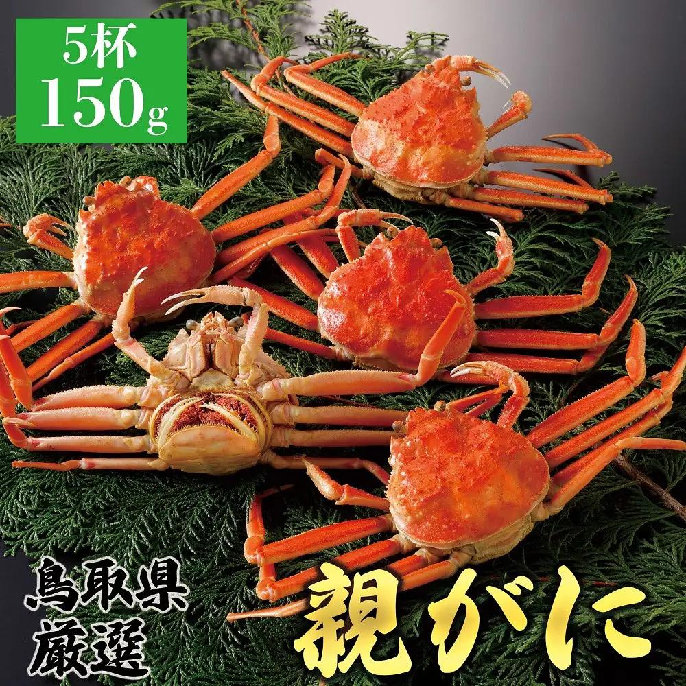 1062.【2026年12月発送】鳥取県産 特撰 親がに 姿【 セコガニ 】（茹）150g 5杯 | ズワイガニ ズワイガニ メス 蟹