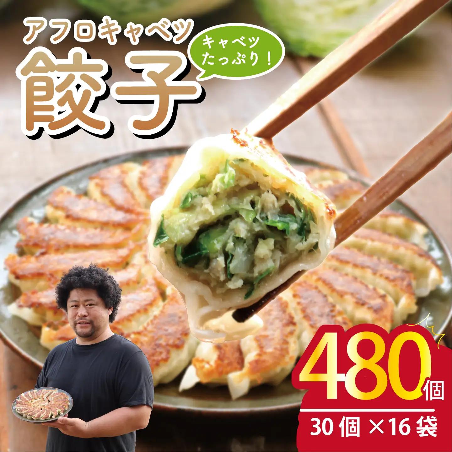 餃子 きゃべつ餃子 480個