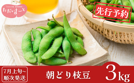 先行予約 採れたてをお届け！朝どり枝豆 3kg（1kg×3袋） [7月上旬から発送予定] 新潟県産 えだまめ [JAえちご中越]【015S114】