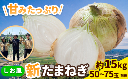 【2025年先行予約】しお風新たまねぎ 約15kg 2025年 先行予約《5月下旬-6月上旬頃出荷》 玉ねぎ 新たまねぎ 野菜 青果物 岡山県 笠岡市｜玉ねぎたまねぎ野菜玉ねぎたまねぎ野菜玉ねぎたまねぎ野菜玉ねぎたまねぎ野菜玉ねぎたまねぎ野菜玉ねぎたまねぎ野菜玉ねぎたまねぎ野菜玉ねぎたまねぎ野菜玉ねぎたまねぎ野菜玉ねぎたまねぎ野菜玉ねぎたまねぎ野菜玉ねぎたまねぎ野菜玉ねぎたまねぎ野菜玉ねぎたまねぎ野菜玉ねぎたまねぎ野菜玉ねぎたまねぎ野菜玉ねぎたまねぎ野菜玉ねぎたまねぎ野菜玉ねぎたまねぎ野菜玉ねぎたまねぎ野菜