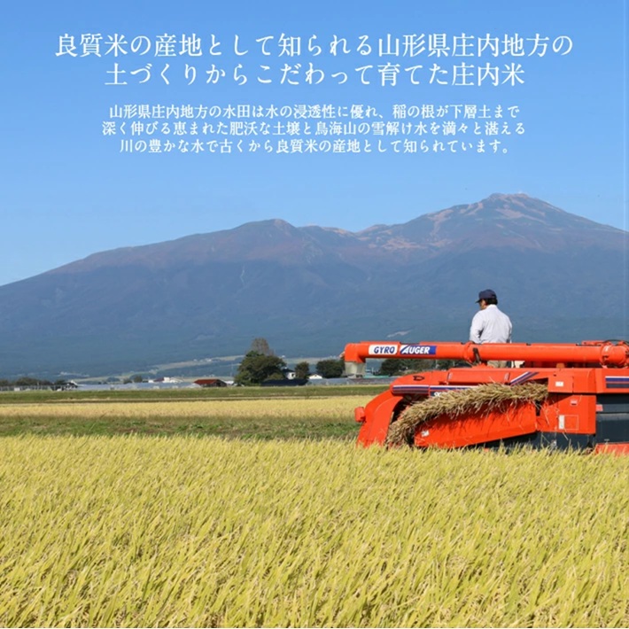 SE0513　令和7年産【精米】つや姫、はえぬき　計10kg(5kg×2袋) 《農産物検査員おすすめの庄内米》 SY