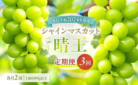 ぶどう 定期便 2025年 先行予約 シャイン マスカット 晴王 各月2房（1房600g以上） 3回コース マスカット ブドウ 葡萄  岡山県産 国産 フルーツ 果物 ギフト