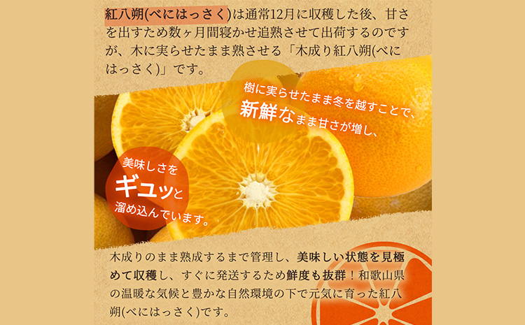 【先行予約】紀州和歌山産 木成紅八朔 8kg 株式会社魚鶴《2026年2月末-4月上旬頃出荷》和歌山県 日高町 紀州和歌山産 木成紅八朔 はっさく ハッサク 八朔 紅八朔 柑橘 果物 フルーツ