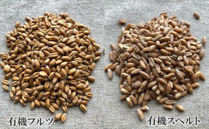 薪窯パン 胡桃レーズン 2個 【 農家パン VERUM 】 ／ パン ぱん ブレッド ベーカリー 薪窯 薪窯焼き 薪窯焼 石窯パン 石窯 卵不使用 乳製品不使用 乳不使用 自家製発酵種 国産 素材にこ
