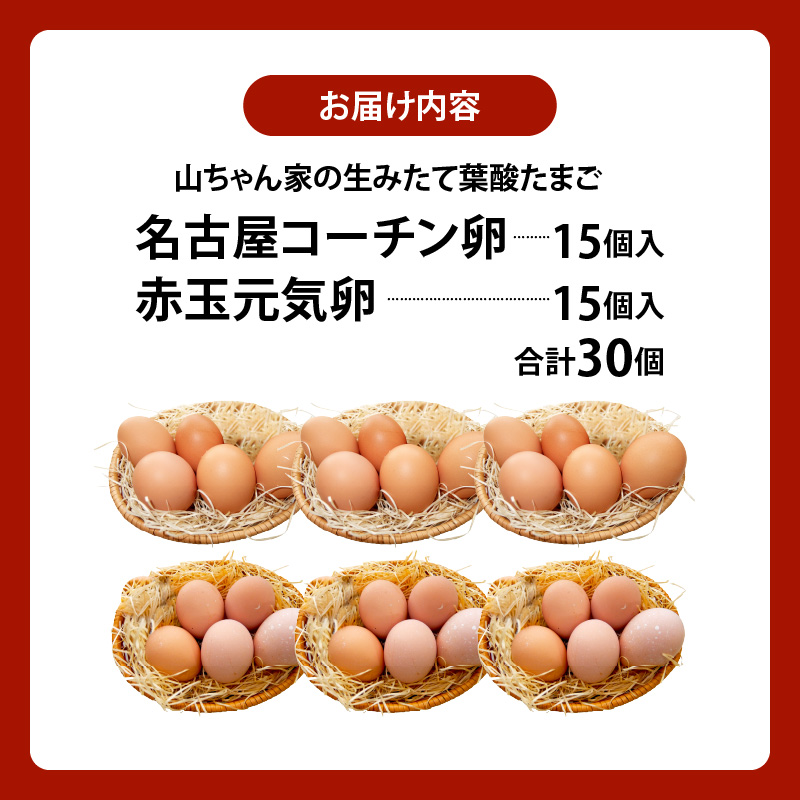 【山ちゃん家の生みたて葉酸たまご】名古屋コーチン卵・赤玉元気卵 食べ比べセット（各15個 合計30個入り） 山ちゃん家 生みたて 葉酸たまご 名古屋コーチン卵 赤玉元気卵 食べ比べ セット 各 15個