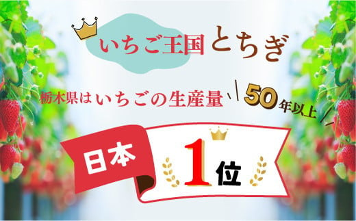 【先行予約】採れたて新鮮 栃木のいちご とちあいか | いちご 栃木 とちあいか 甘い 糖度 旬 新鮮 フルーツ 果物 アレンジ スイーツ　※北海道・沖縄・離島への配送不可　※2025年1月下旬～3月