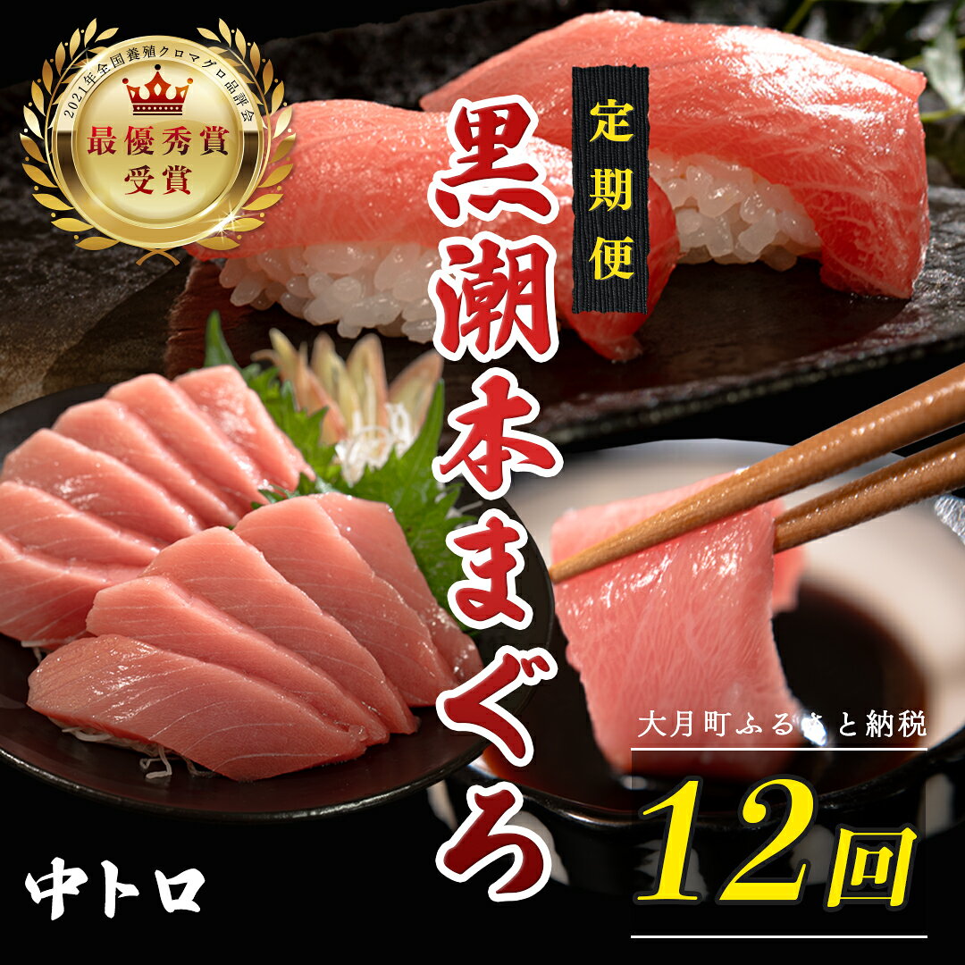 【ふるさと納税】 訳あり 不定貫 定期便 12回 国産 養殖本マグロ 中トロ 毎回120g×12回 黒潮本まぐろ 最優秀賞受賞 12ヶ月 12か月 一年 柵 刺身用 本マグロ 本鮪 鮪 まぐろ お刺身 さしみ トロ 海鮮丼 漬け丼 手巻き寿司 9万円