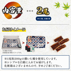 国産鰻の蒲焼き 2尾 うなぎ ウナギ 鰻 うなぎ うなぎ うなぎ 