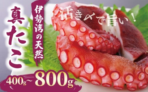 南知多産 活〆タコ 400g まると水産