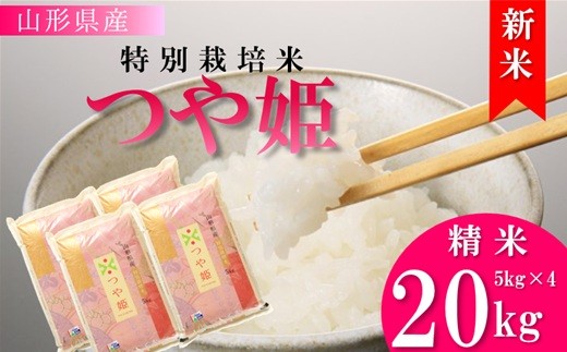 【令和8年産・精米】竹原田ファームの特別栽培米つや姫20kg（5kg×4袋）　※10月中旬頃から順次配送