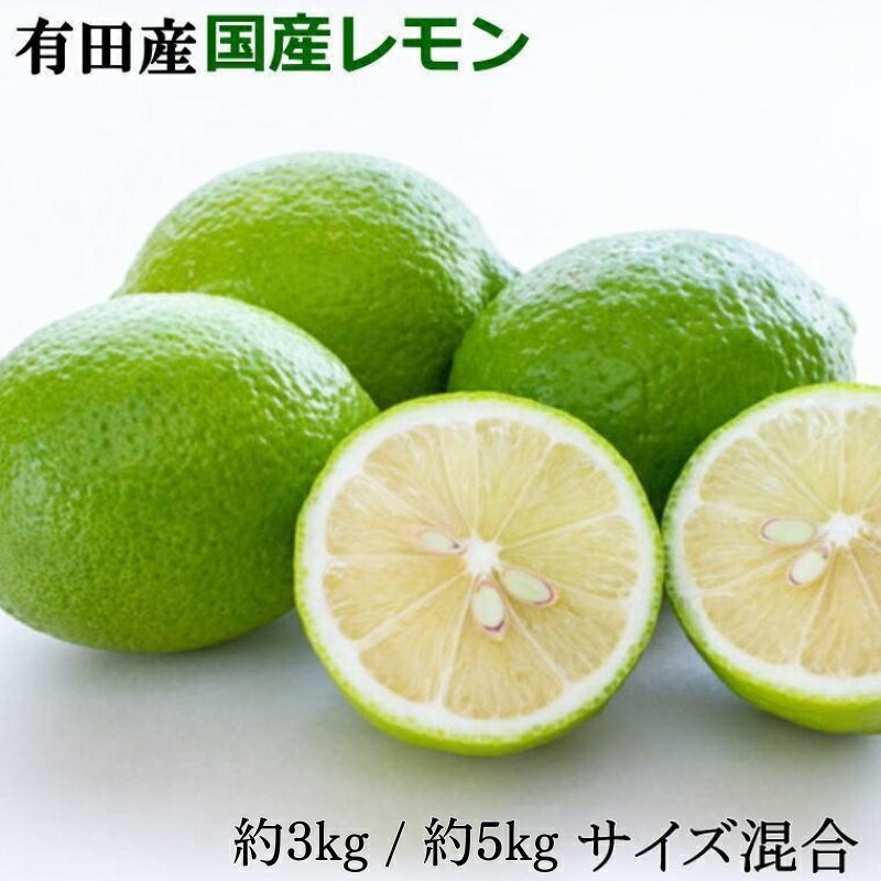 【ふるさと納税】有田産の安心国産レモン 約3kg 約5kg （サイズ混合）【2025年10月中旬～2026年4月下旬頃より順次発送】【TM15】