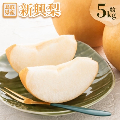 
                  ＜先行予約＞新興梨 約5kg【1733691】
                
