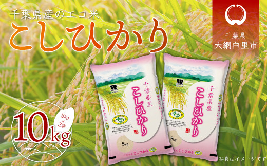 
【新米】令和6年産 千葉県産エコ米「コシヒカリ」10kg（5kg×2袋） お米 10kg 千葉県産 大網白里市 コシヒカリ エコ米 米 精米 こめ 送料無料
