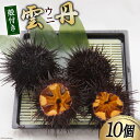 【ふるさと納税】【期間限定発送】 三陸産 ウニ 殻付き 10個 [さんりくみらい 宮城県 気仙沼市 20564808] 生 うに 雲丹 キタムラサキウニ 海産物 生ウニ 生雲丹 季節限定 期間限定