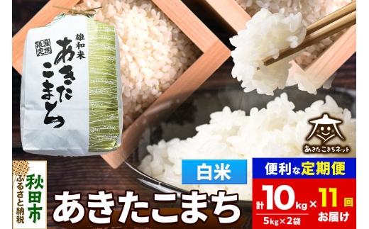 令和8年産 《定期便11ヶ月》あきたこまち 清流米 10kg（5kg×2袋）【白米】秋田県産 [秋田県産 あきたこまち お米 精米 小分け 定期便 5kg袋]