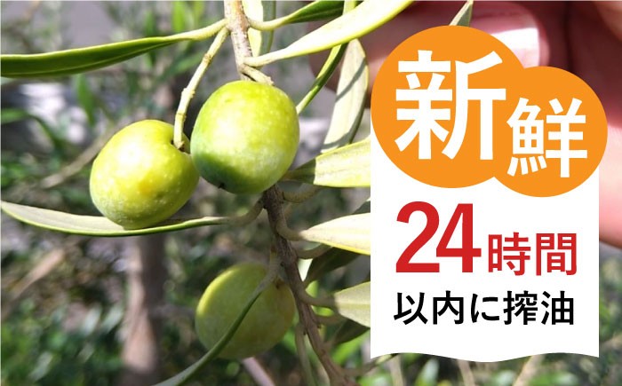 長崎県 長与町産 オリーブ 100％ 使用 摘み立て オリーブオイル オリーブ オイル