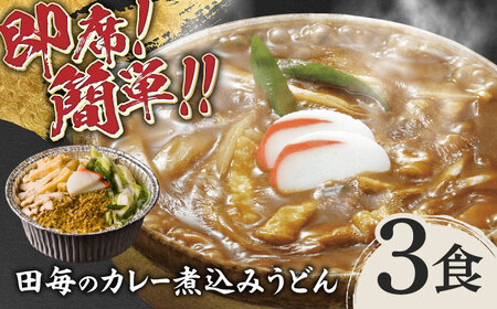 うどん 田毎のカレー煮込みうどんセット [ANFP001] うどん