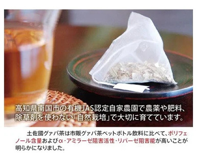 国産有機栽培グァバ葉100％使用 土佐國グァバ茶 2g×60包 | お茶 飲料 健康茶 茶 おちゃ 飲み物 グアバ 葉 国産 漢方 人気 おすすめ 食物繊維 カロテン カリウム ビタミン ビタミンC 