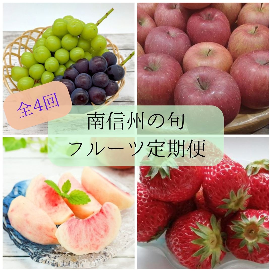 
            旬のフルーツ定期便(全4回) 長野県 信州 南信州 高森町いちご 桃 シャインマスカット りんご 紅ほっぺ 章姫 もも ぶどう くだもの
          