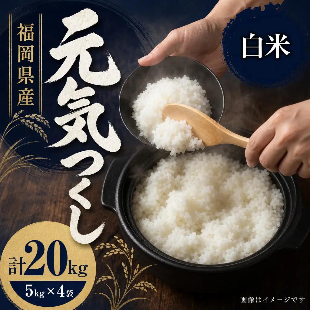【令和7年産】 福岡県 大木町産 元気つくし 20kg　BC05