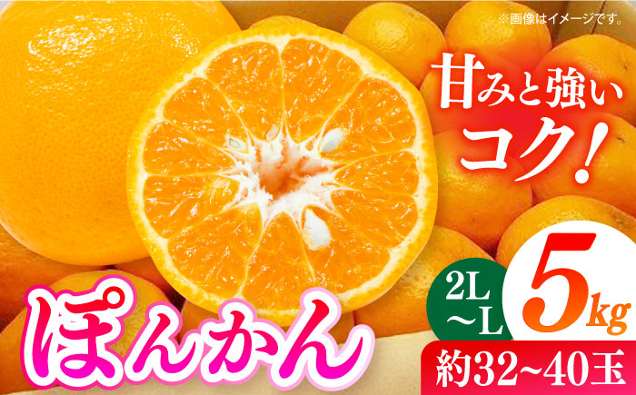 
            【先行予約】＜2月発送＞長崎県産 ぽんかん 5kg(2L～L・約32～40玉) 長崎県/長崎果匠 [42AABK008]
          