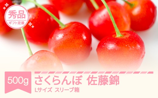 
                  【先行予約】さくらんぼ 佐藤錦 秀 L 500g 令和9年産 2027年産 スリーブ箱 山形県産 フルーツ 果物 くだもの サクランボ sb-snslx500
                