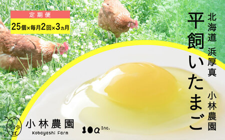 【月2回・3ヵ月定期便】平飼い有精卵 25個 計150個【常温便】 たまご 卵 鶏卵 玉子 生卵 平飼い 定期便 北海道[AXAN038]