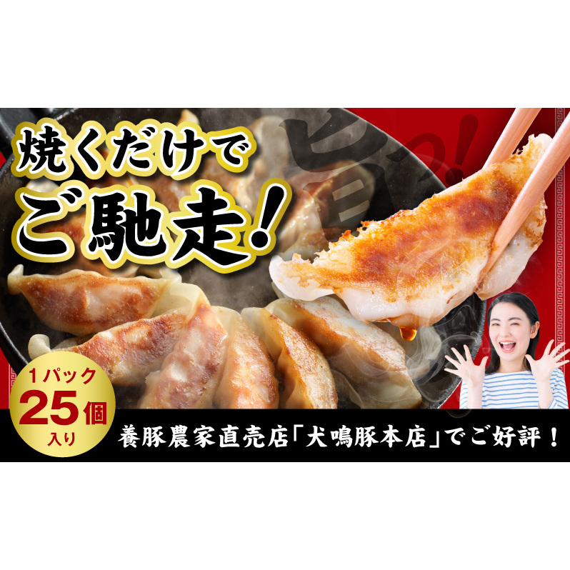 【泉佐野ブランド豚】犬鳴豚餃子 100個【国産 豚肉 ぶたにく 犬鳴ポーク 焼くだけ 人気 総菜 冷凍】 099H4477_イメージ2