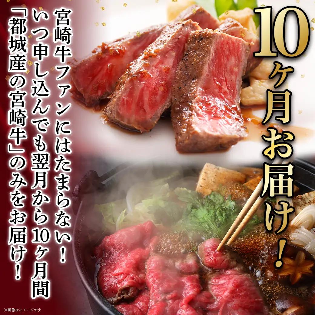 宮崎牛定期便(10ヶ月)〔T120（10）-0103〕_(都城市) 宮崎牛 A5 10ヶ月定期便 赤身 バラ ロース スライス 焼肉用 切り落とし サーロインステーキ